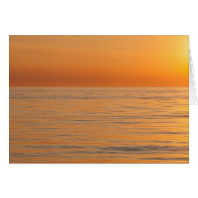 Cartão Praia ideal alaranjada (Frente Horizontal)