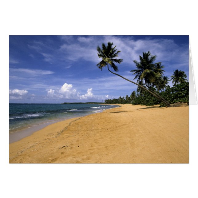 Cartão Praia Porto Rico 2 (Frente Horizontal)