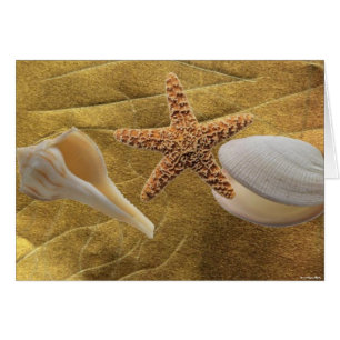 Cartão Praia - Sea Shell - Placa