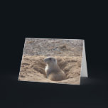 Cartão Prairie Dog Birthday Card<br><div class="desc">Prairie Dog Birthday Card</div>