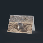 Cartão Prairie Dog Birthday Card<br><div class="desc">Prairie Dog Birthday Card</div>