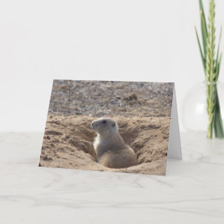 Cartão Prairie Dog Birthday Card