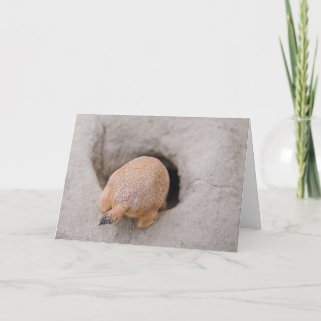 Cartão Prairie Dog Bumbum (Frente)