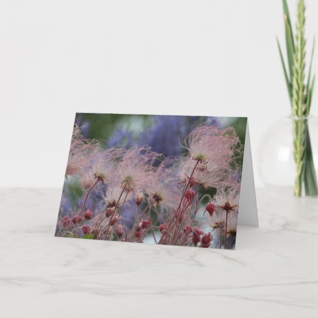 Cartão Prairie Smoke (Frente)