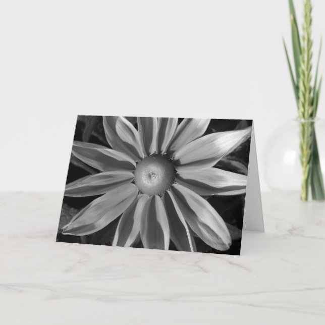 Cartão Prairie Sun Rudbeckia B&W (Frente)