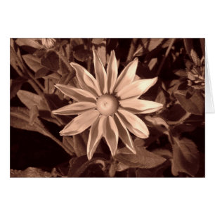 Cartão Prairie Sun Rudbeckia B&W