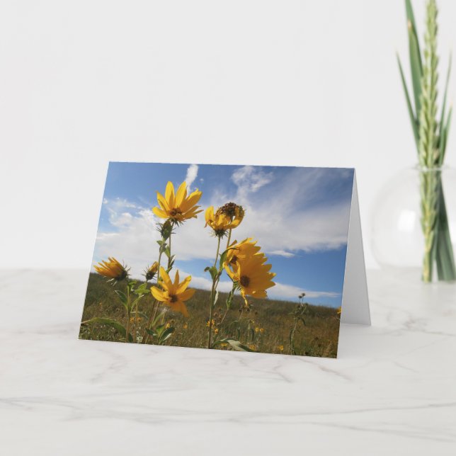 Cartão Prairie Sunset Greeting Card (Frente)
