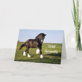 Cartão Prancing Clydesdale Sympathy