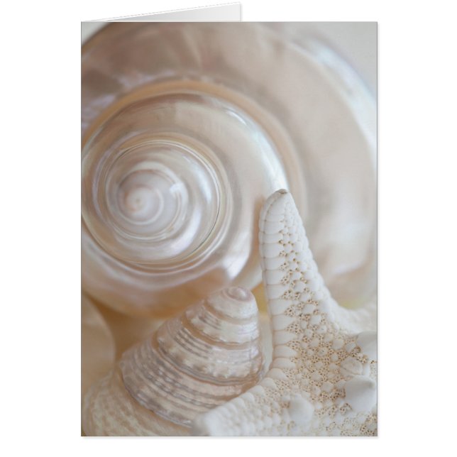 Cartão Prateleiras Tropicais de Praias-do-mar brancas (Frente)