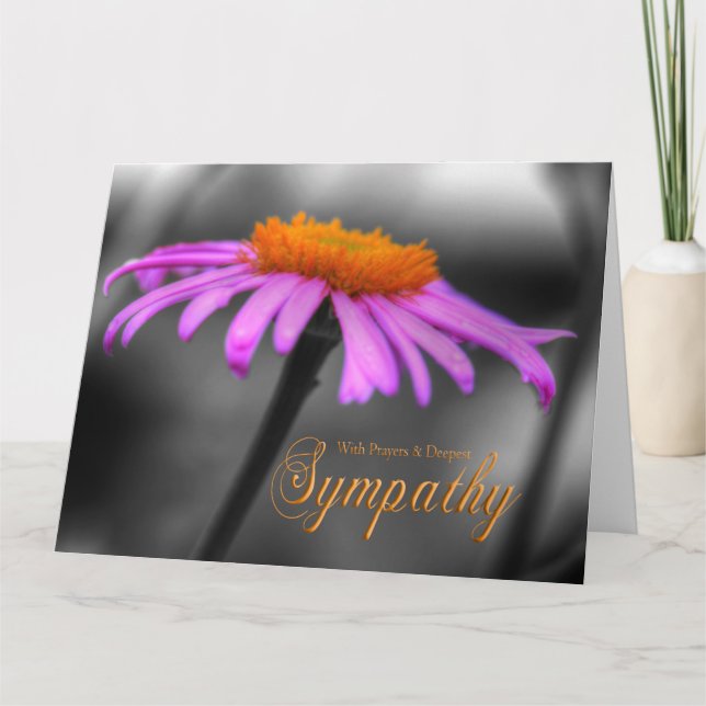 Cartão Prayers and Sympathy Purple Orange Coneflower (Frente)
