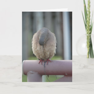 Cartão Praying Dove