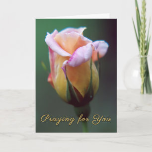 Cartão Praying for You Rose Greeting Card