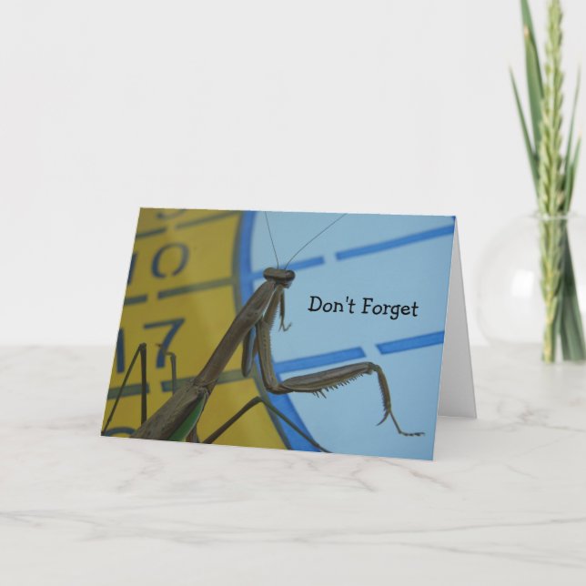 Cartão Praying Mantis, Don't Forget (Frente)