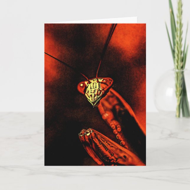 Cartão Praying Mantis - Red Nightmare (Frente)