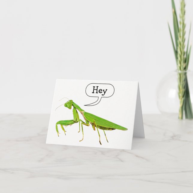 Cartão Praying Mantis Says Hey Notecard (Frente)