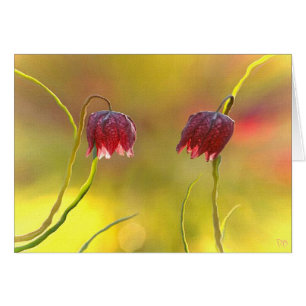 Cartão Prazer da manhã