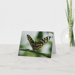 Cartão Prazer em conhecê-lo