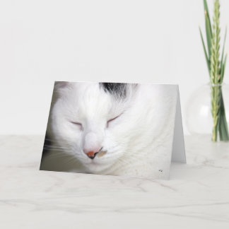 Cartão Precious 2, Get Well Soon