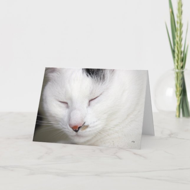 Cartão Precious 2, Get Well Soon (Frente)