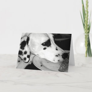 Cartão Precious Dalmation