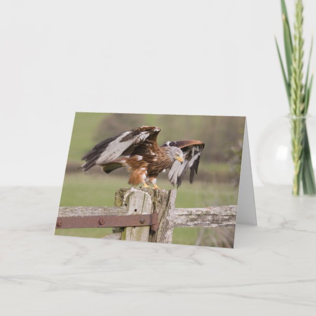 Cartão Prepare for Take Off (Frente)