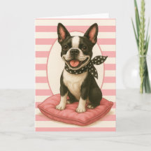 Preppy Boston Terrier