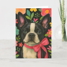 Preppy Boston Terrier