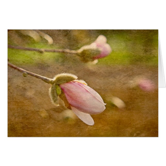 Cartão Presente da Esperança (Frente horizontal)