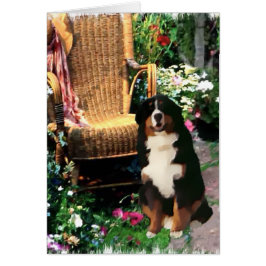Cartão Presentes de Arte de Cachorro de Montanha Bernese
