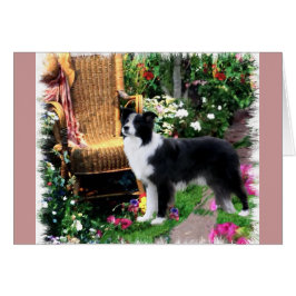 Cartão Presentes de Arte de Collie de Borda