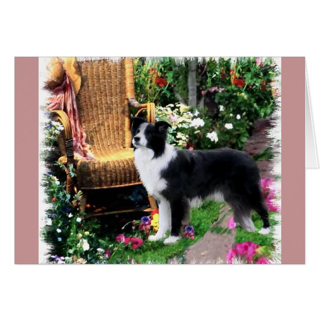 Cartão Presentes de Arte de Collie de Borda (Frente Horizontal)