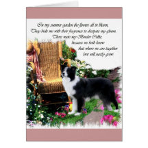 Presentes de Arte de Collie de Borda