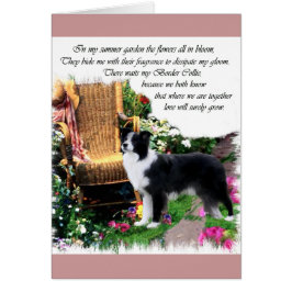 Cartão Presentes de Arte de Collie de Borda