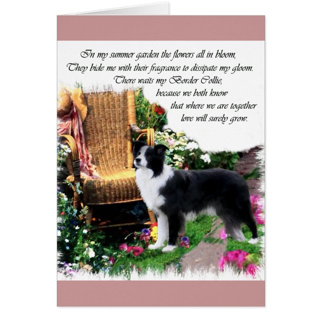 Cartão Presentes de Arte de Collie de Borda (Frente)