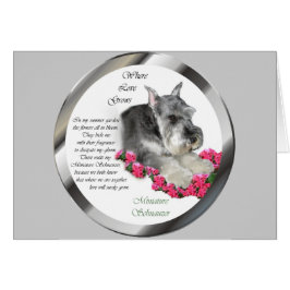 Cartão Presentes de Arte Miniatura Schnauzer
