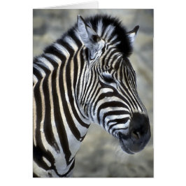 Cartão Presentes de arte para amantes de zebras