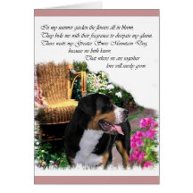 Presentes de Arte para Cachorros na Grande Suíça