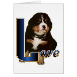 Cartão Presentes de Cachorro de Montanha Bernese
