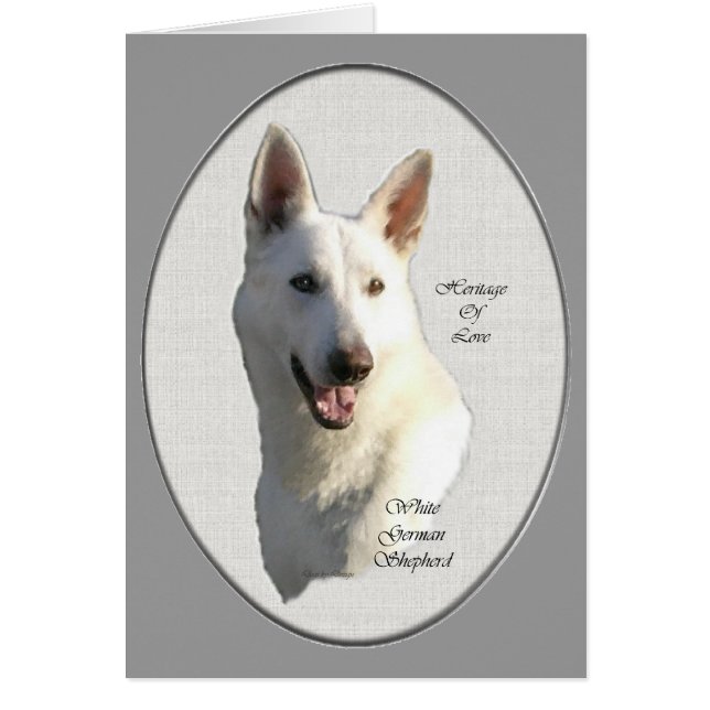 Cartão Presentes de German shepherd Branco (Frente)
