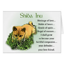 Presentes de Shiba Inu