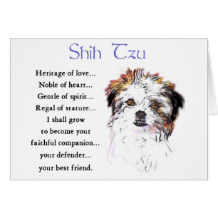 Cartão Presentes de Shih Tzu Lovers