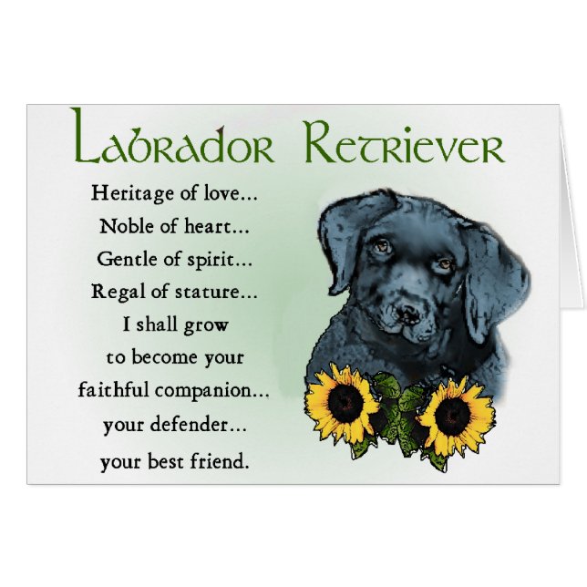 Cartão Presentes do Labrador Retriever (Frente Horizontal)