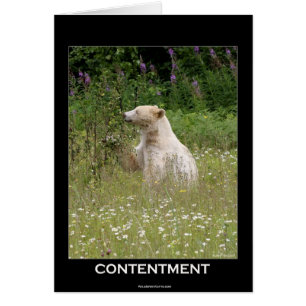 Cartão Presentes do "Urso Espírito"