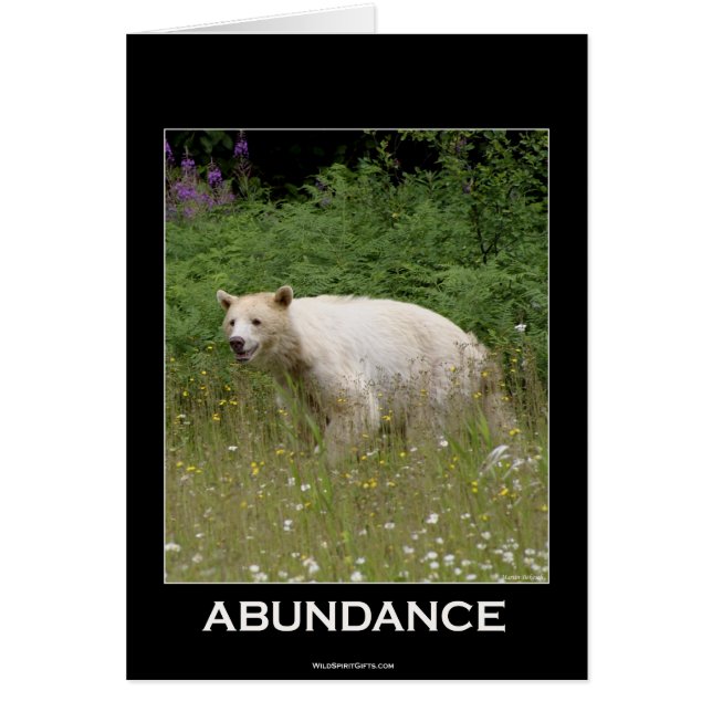 Cartão Presentes do Urso Espirituoso (Frente)