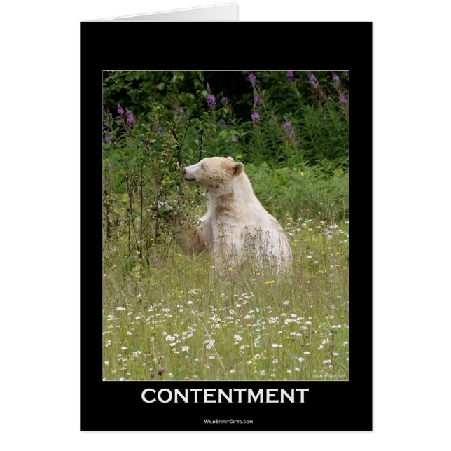 Cartão Presentes do Urso Espirituoso (Frente)