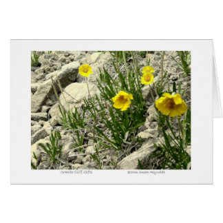 Cartão Presentes Granite Cliff