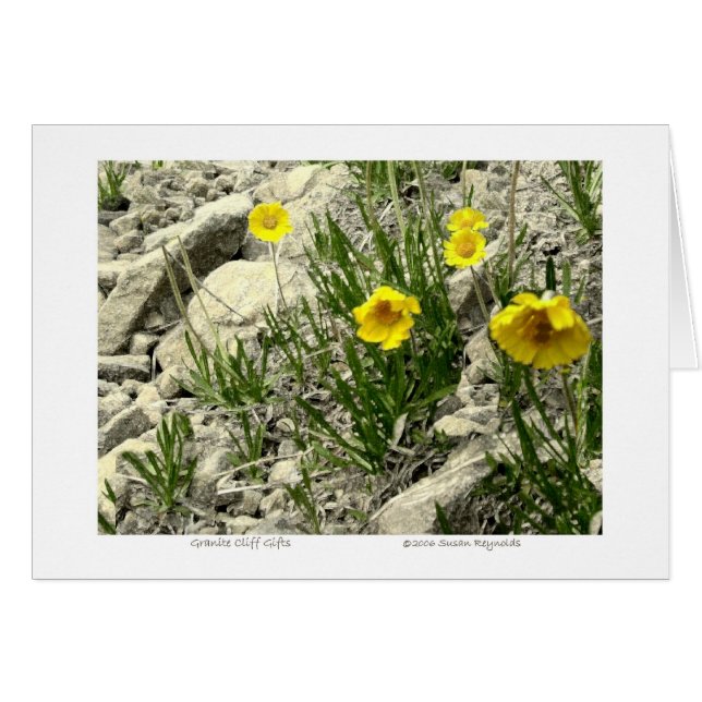 Cartão Presentes Granite Cliff (Frente Horizontal)