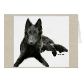 Cartão Presentes Groenendael Belgian Sheepdog