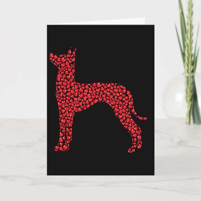 Cartão Presentes para amantes de cães Xoloitzcuintli Vale (Frente)