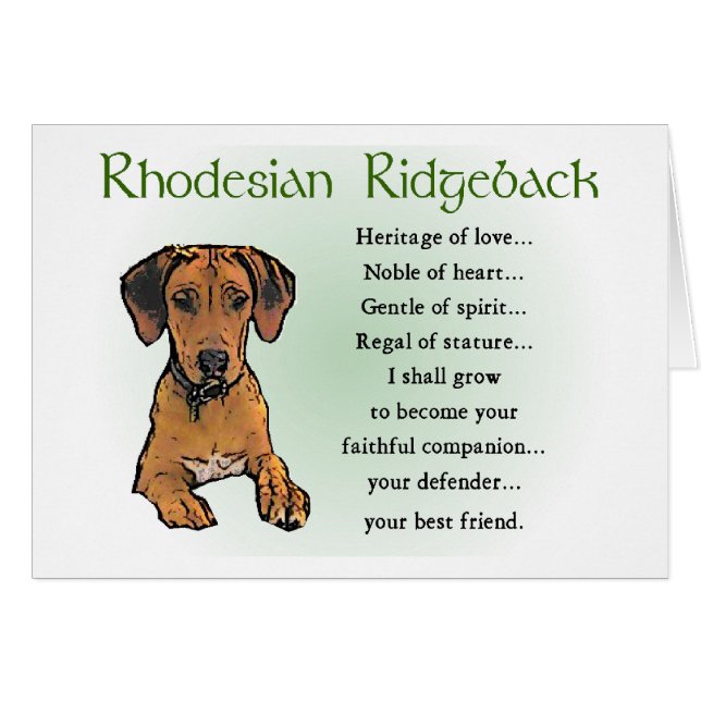 Cartão Presentes Ridgeback da Rodésia (Frente Horizontal)